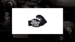 creation-logo-logotype-Branding-signature-identite-visuelle-charte-graphique- Blue1310-agence-de-communication-branding-graphiste-annecy-paris