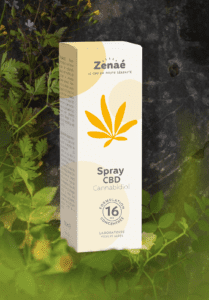 Création packaging Zenaé, feuille de cannabis stylisée orange. Création de marque, branding