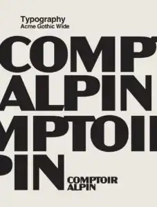Logo Comptoir Alpin en noir sur fond crème, typographie Acme Gothic Wide, formes stylisées de maison et montagnes.