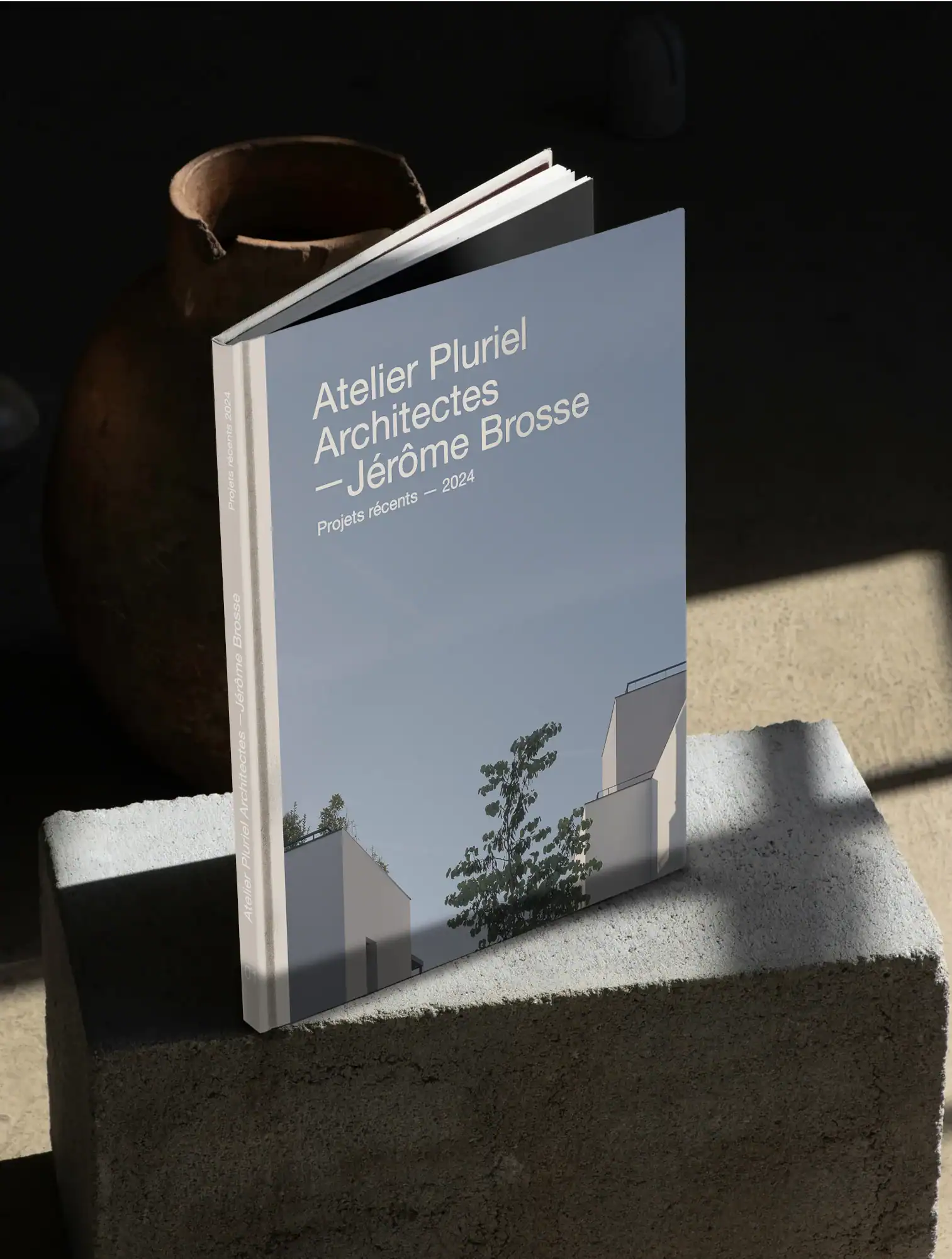 Édition des projets récents d’Atelier Pluriel avec une architecture contemporaine et un arbre en couverture