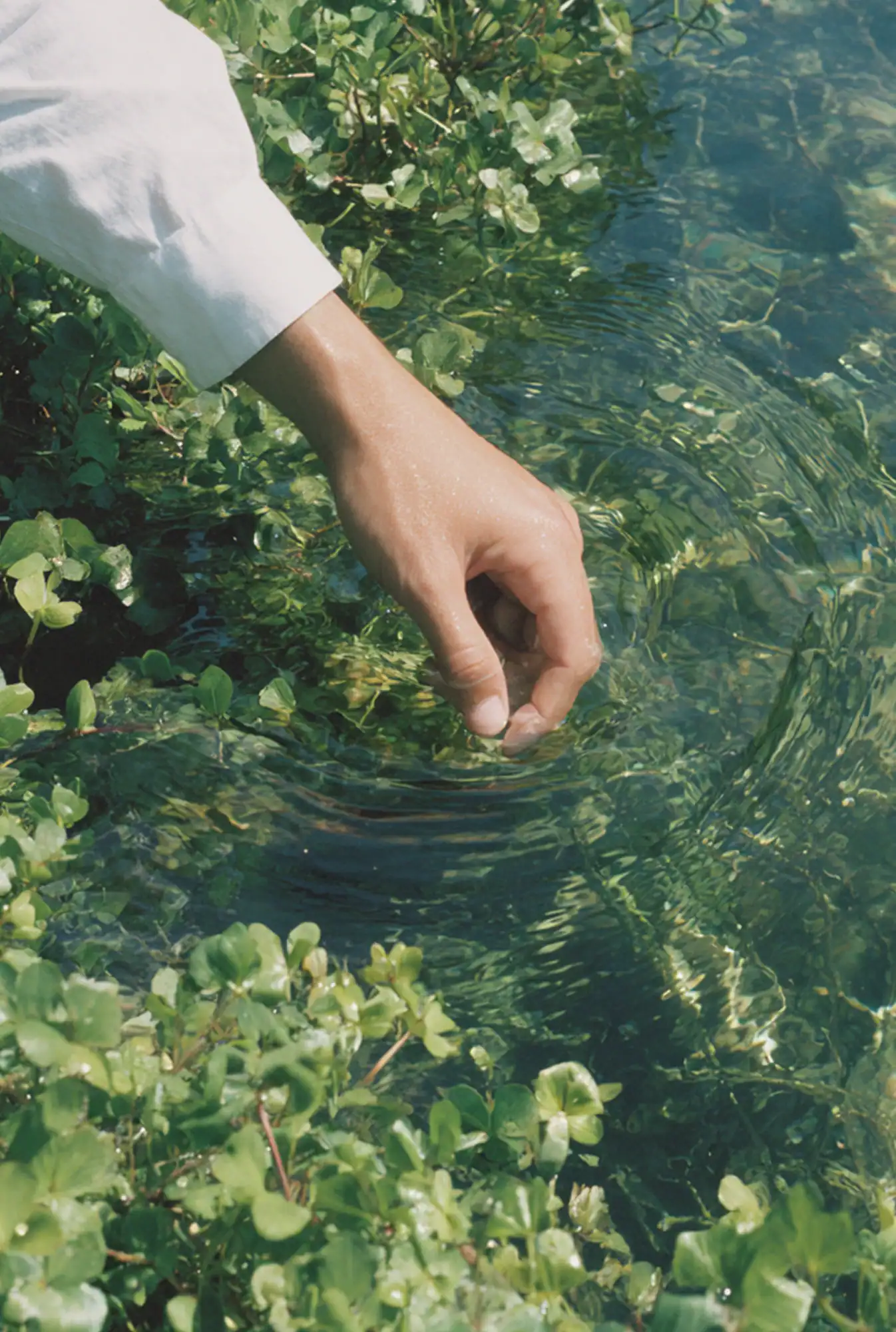Main au contact d’une eau claire entourée de végétation, illustration de l’engagement environnemental de Tecam.