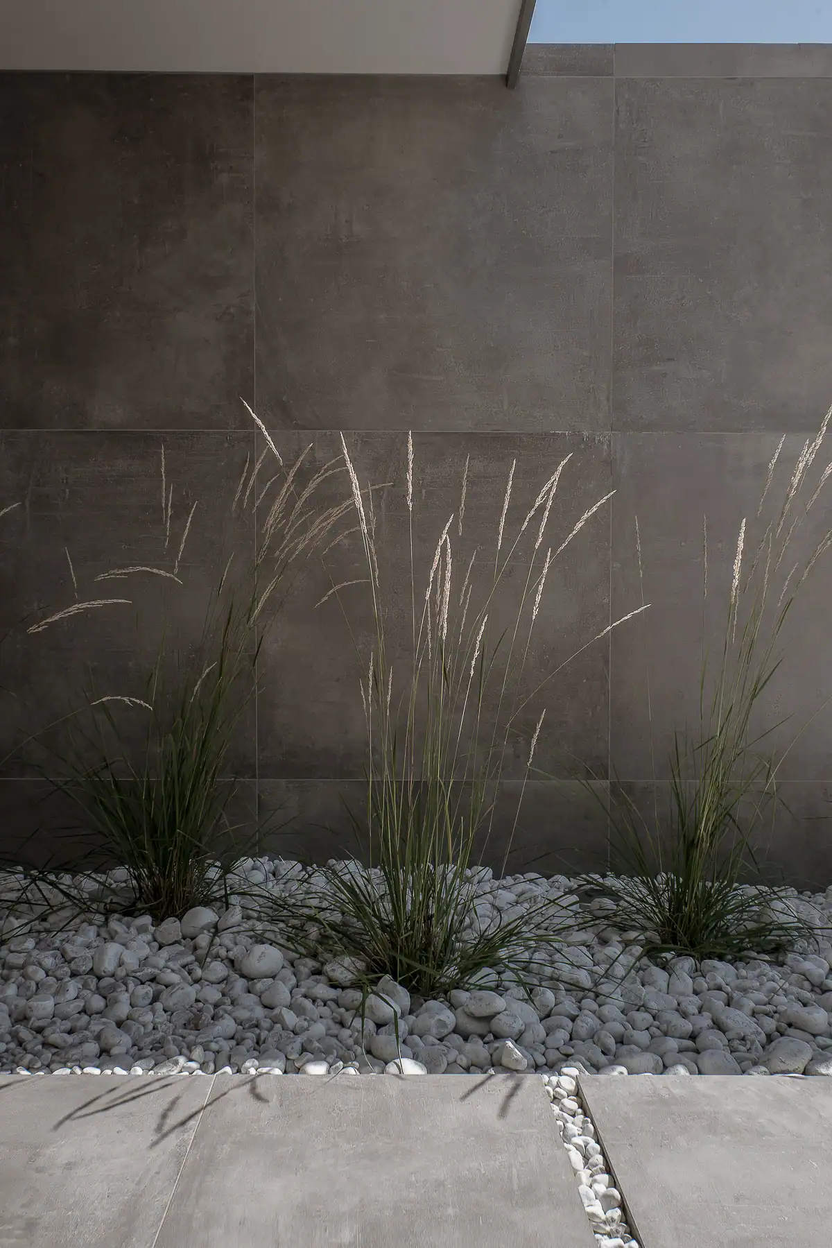 Aménagement paysager minimaliste avec graminées et mur minéral dans une villa contemporaine